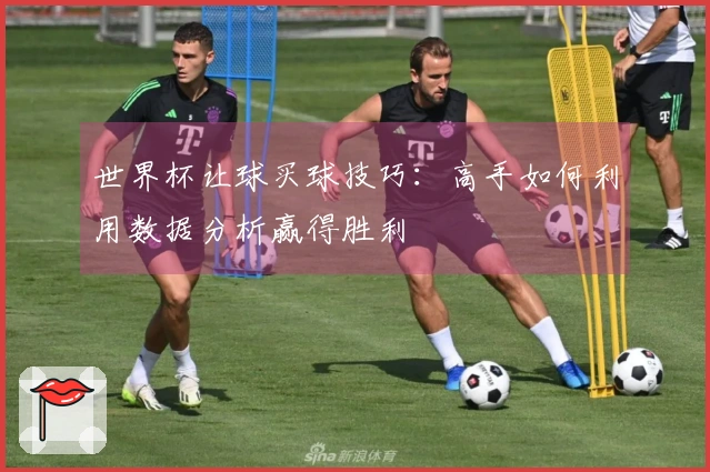 世界杯让球买球技巧：高手如何利用数据分析赢得胜利